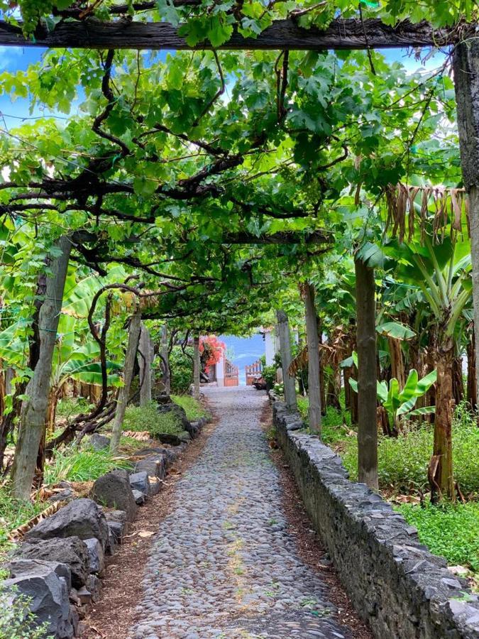 Willa Faja Dos Padres Ribeira Brava Zewnętrze zdjęcie