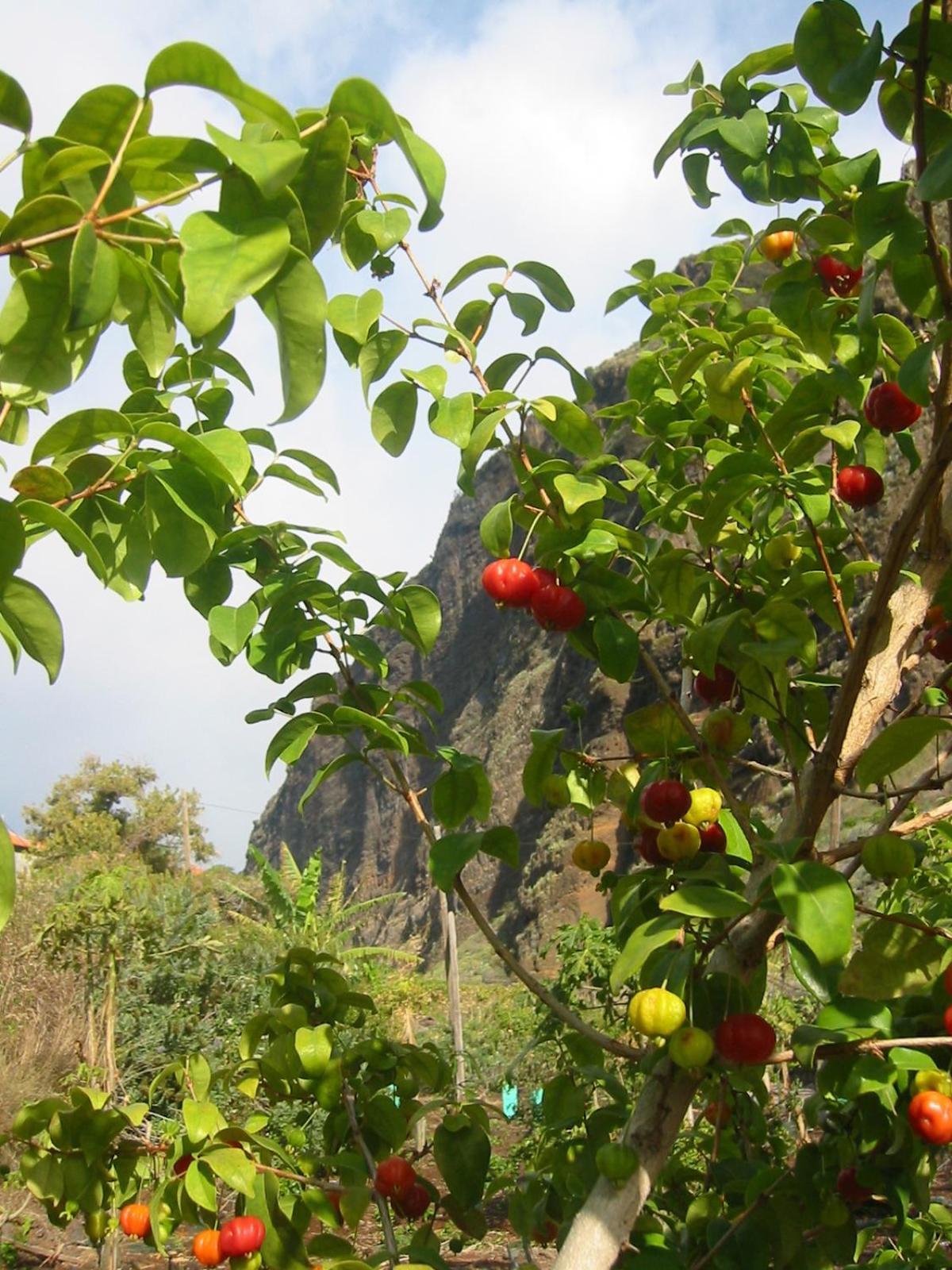 Willa Faja Dos Padres Ribeira Brava Zewnętrze zdjęcie
